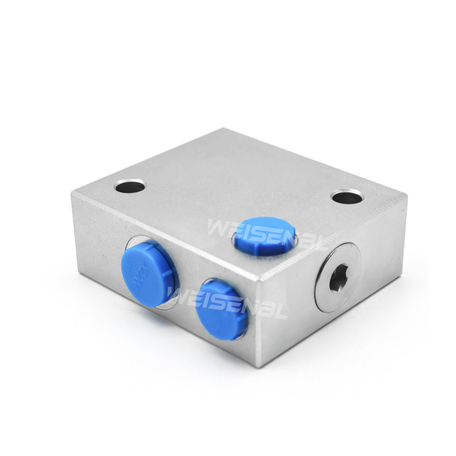 Hydraulic Lock Single Pilot Check Valve for Construction Machinery