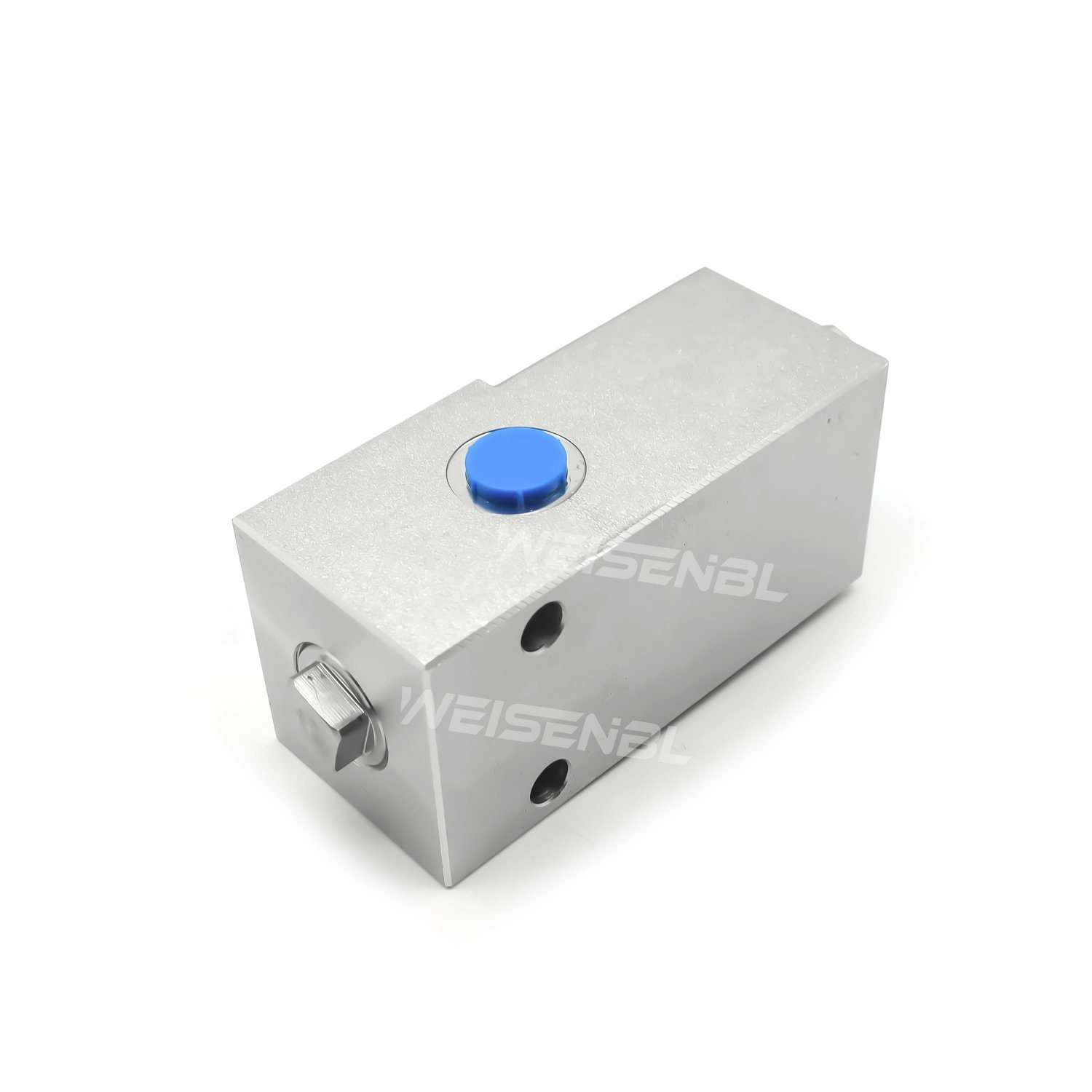 High Quality Valve Type S03-H10b Double Pilot Check Valve for Heavy Machinery